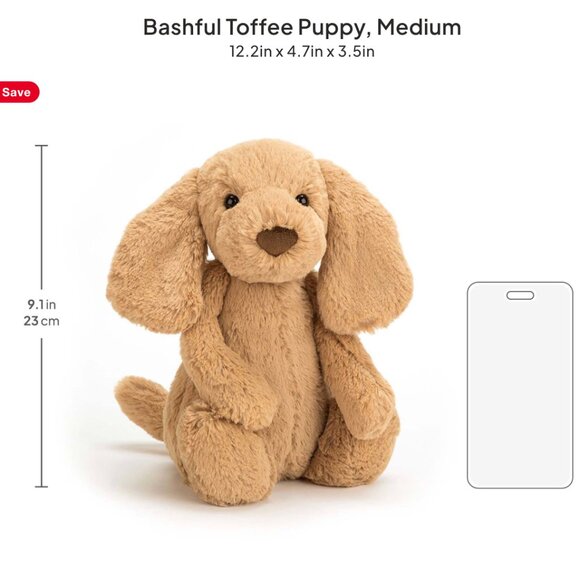 Jellycat Bashful Toffee Puppy, Medium - Picture 6 of 6